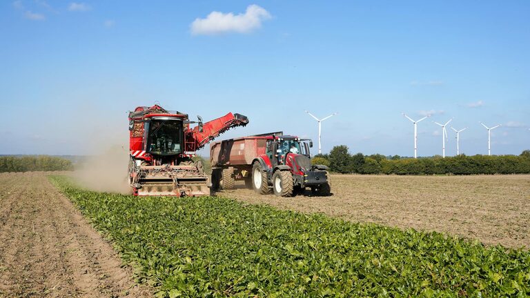 How to Refresh Your Workspace in Just Ten Minutes